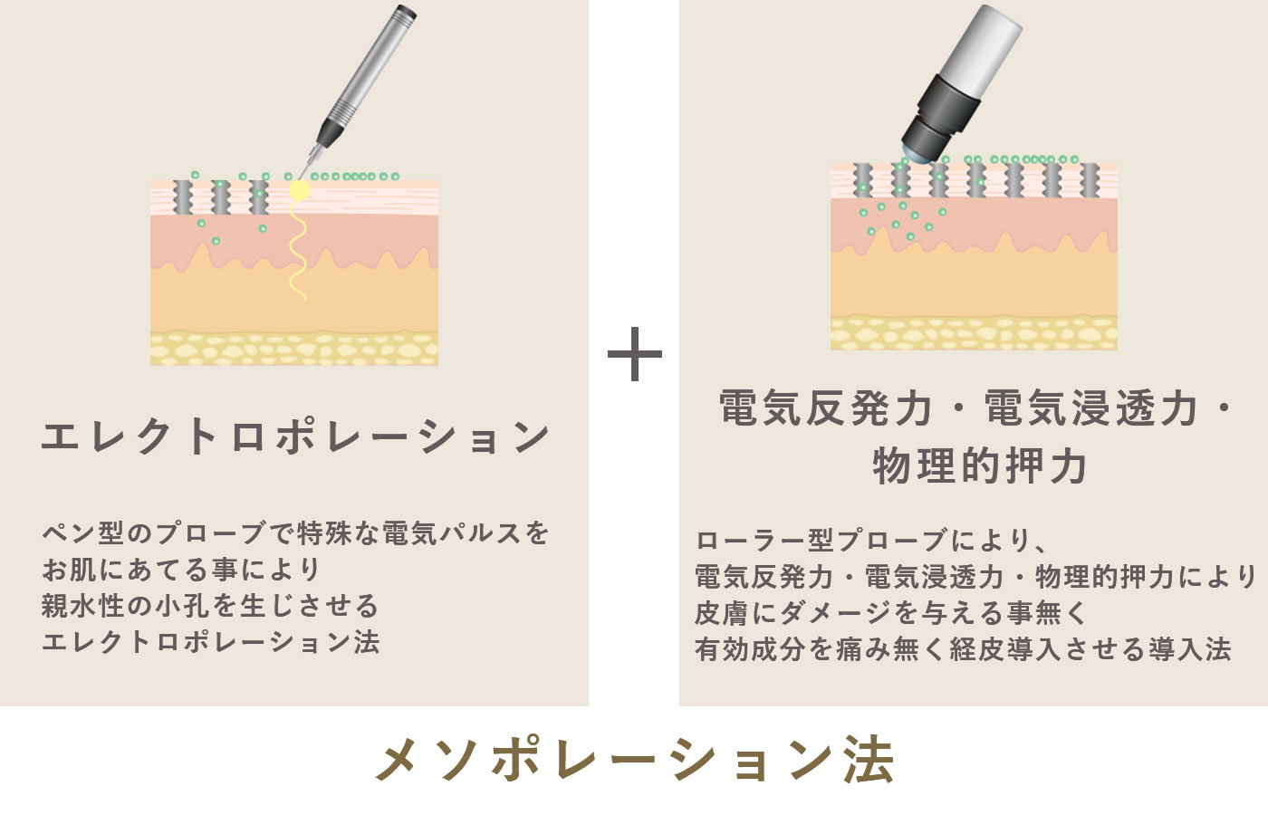 メソポレーション法